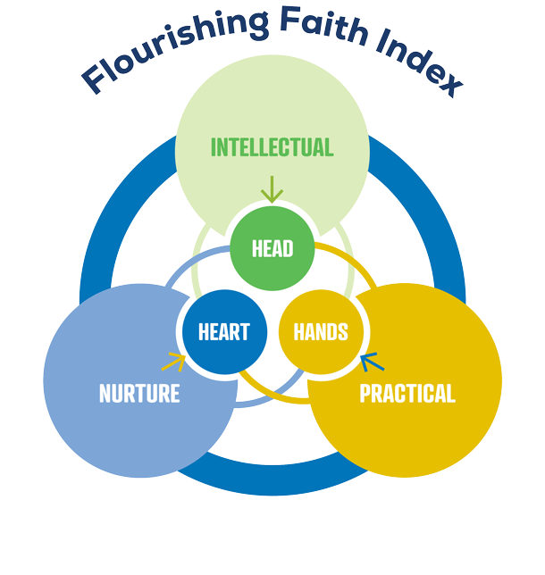 FFI Diagram