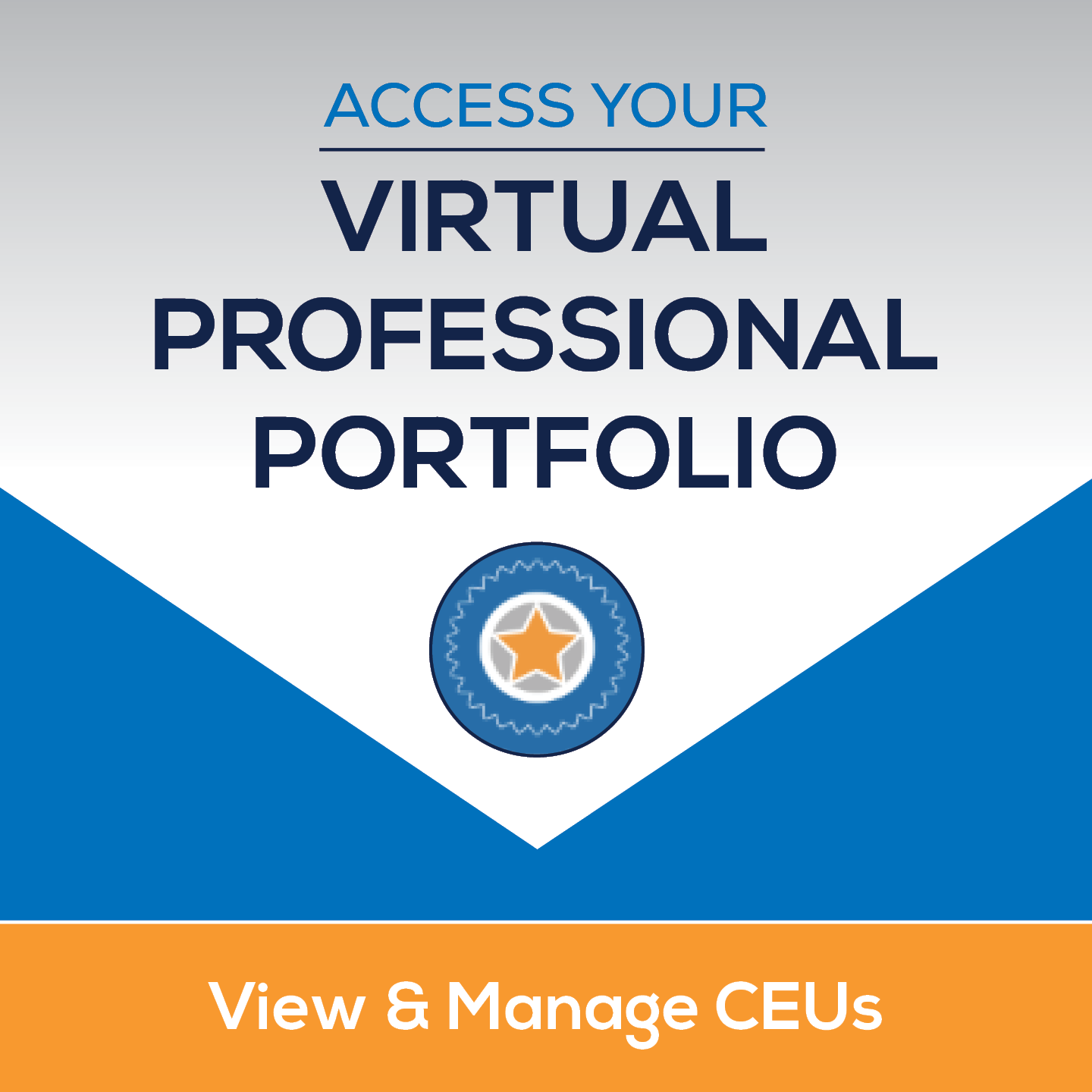 Virtual Professional Portfolio