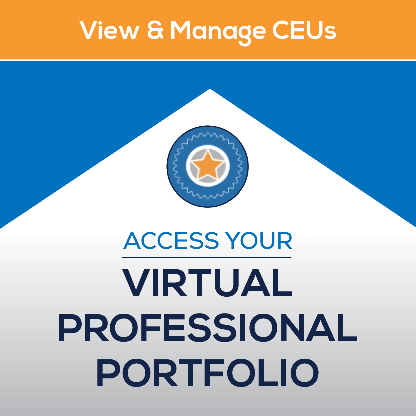 Virtual Professional Portfolio